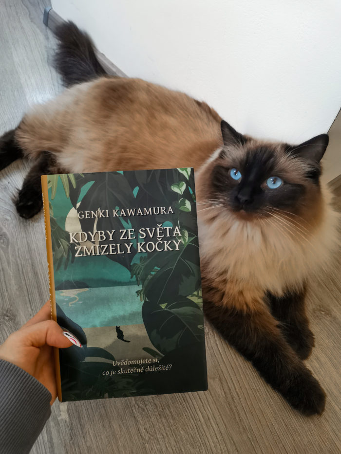Filozofická kniha, která vás donutí přemýšlet o životě - Kdyby ze světa zmizely kočky.